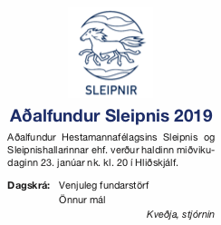 Adalfundur2019