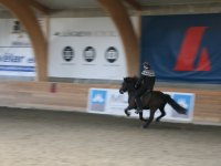 Fjölskyldudagur Æskulýðsnefndar 2015