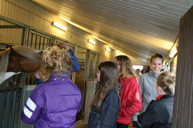 Æskulýðsnefnd-Heimsókn Dana frá Fjóni 2014