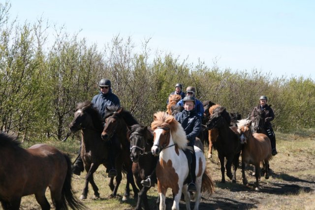 Sumarferð Sleipnis 2015