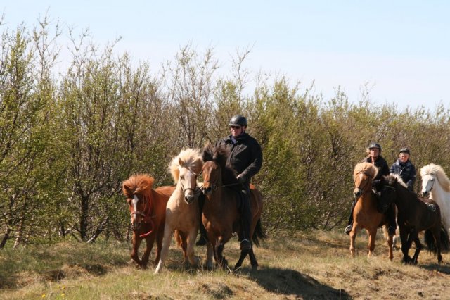 Sumarferð Sleipnis 2015