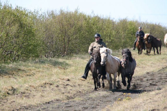 Sumarferð Sleipnis 2015