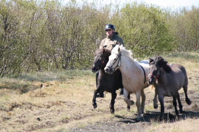 Sumarferð Sleipnis 2015