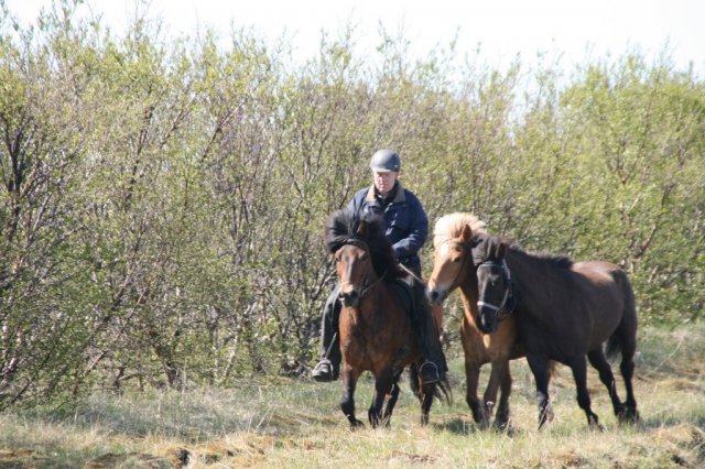 Sumarferð Sleipnis 2015