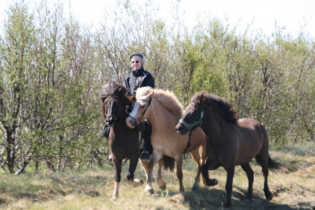 Sumarferð Sleipnis 2015