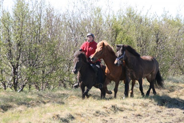 Sumarferð Sleipnis 2015
