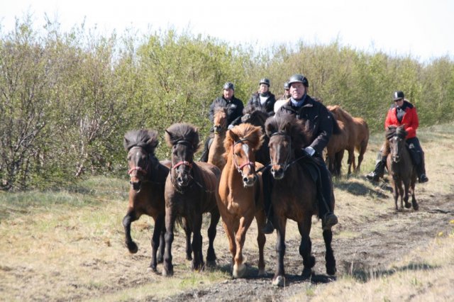 Sumarferð Sleipnis 2015