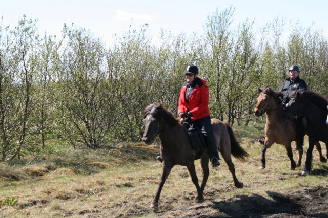 Sumarferð Sleipnis 2015