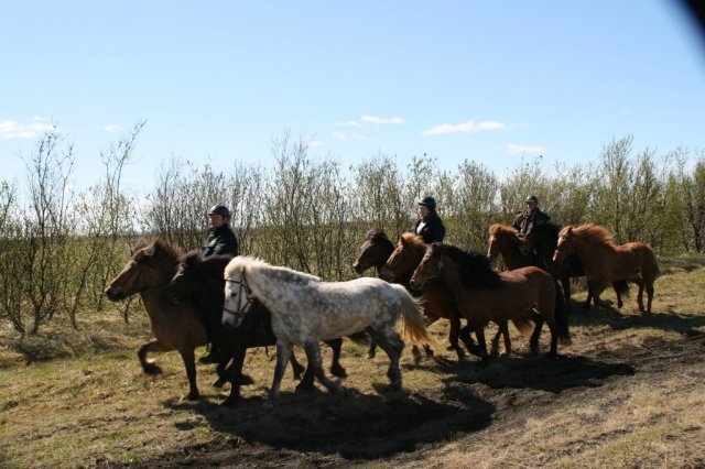 Sumarferð Sleipnis 2015