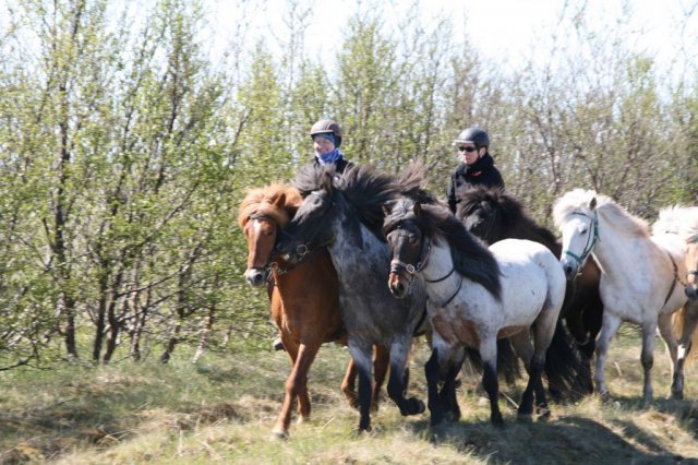 Sumarferð Sleipnis 2015
