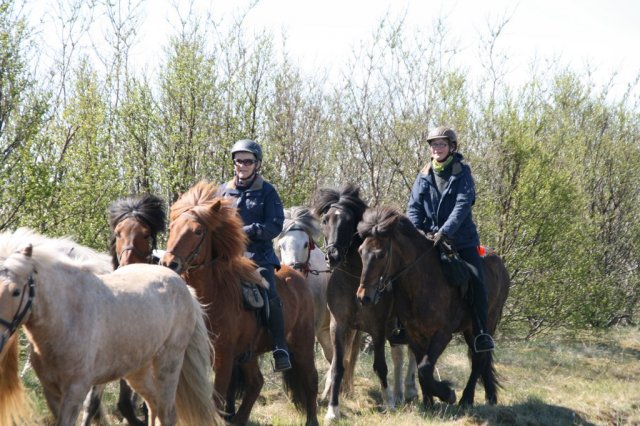 Sumarferð Sleipnis 2015
