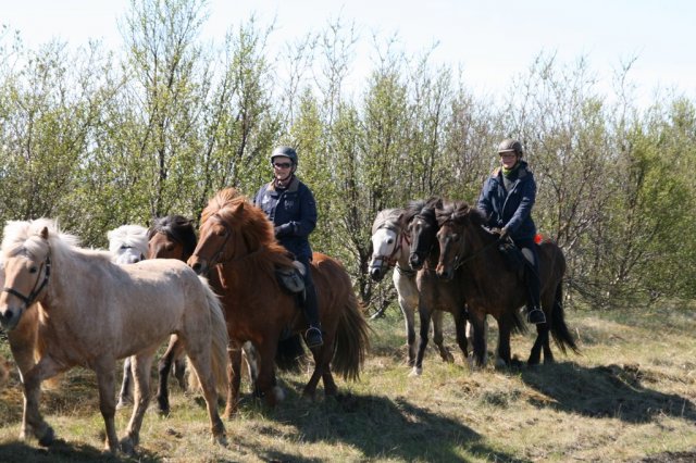 Sumarferð Sleipnis 2015