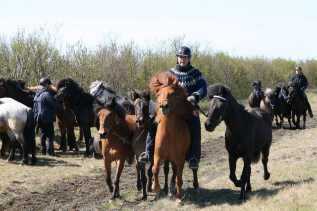 Sumarferð Sleipnis 2015