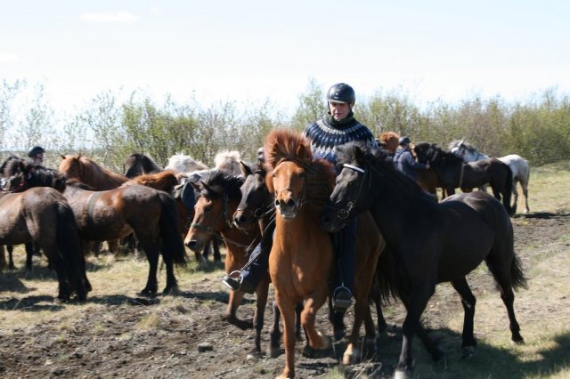 Sumarferð Sleipnis 2015