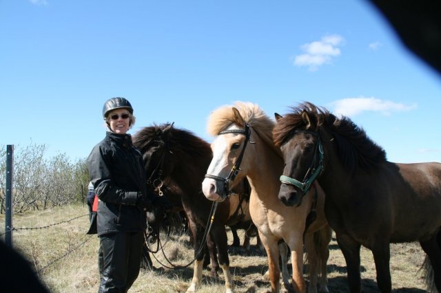 Sumarferð Sleipnis 2015