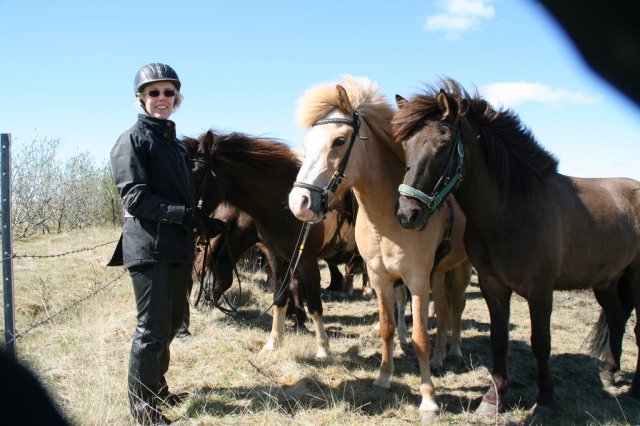 Sumarferð Sleipnis 2015