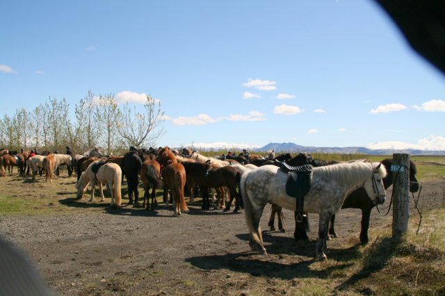 Sumarferð Sleipnis 2015