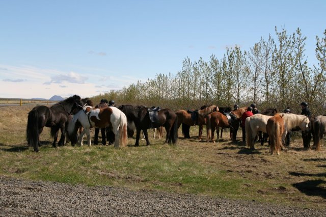 Sumarferð Sleipnis 2015