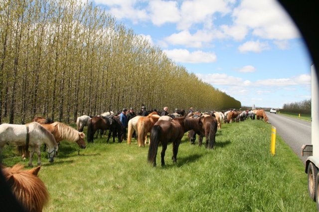 Sumarferð Sleipnis 2015