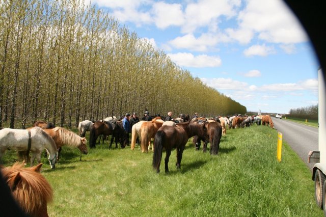 Sumarferð Sleipnis 2015