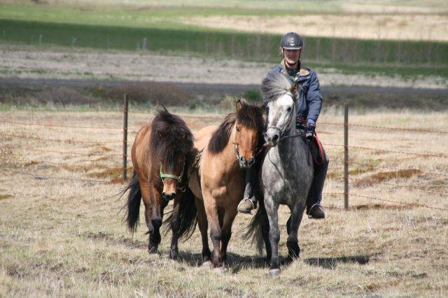 Sumarferð Sleipnis 2015