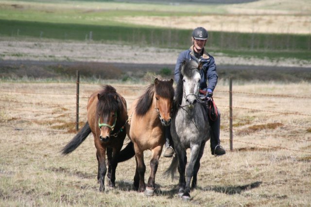Sumarferð Sleipnis 2015