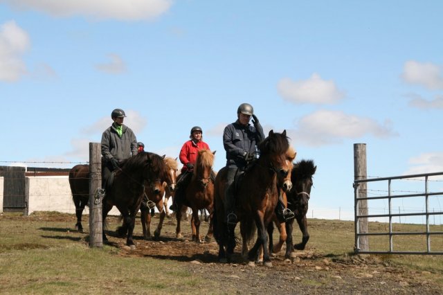 Sumarferð Sleipnis 2015