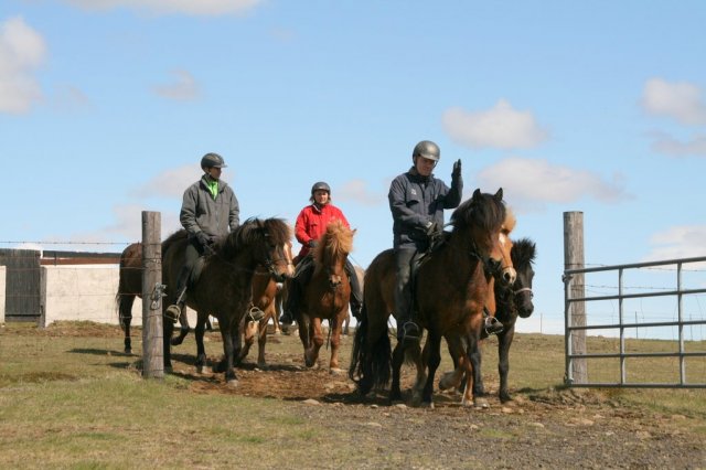 Sumarferð Sleipnis 2015