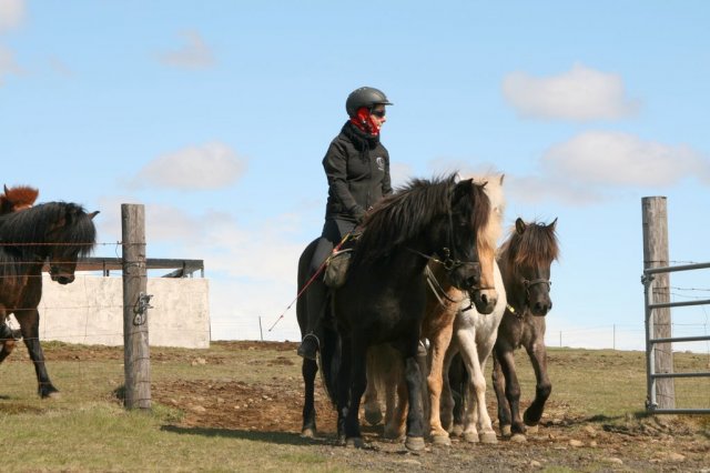 Sumarferð Sleipnis 2015
