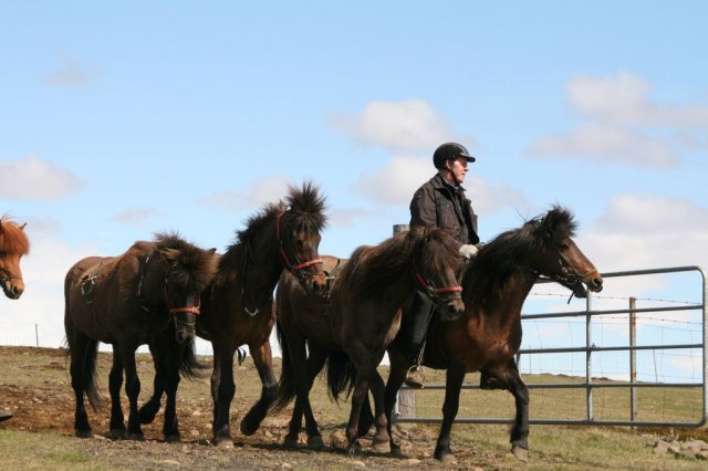 Sumarferð Sleipnis 2015