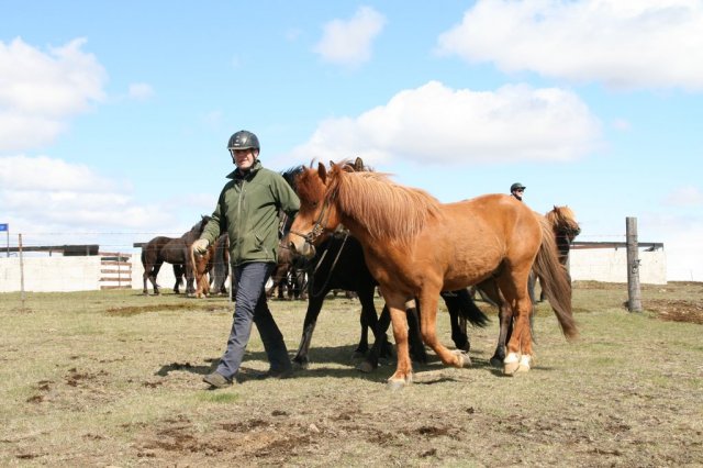 Sumarferð Sleipnis 2015