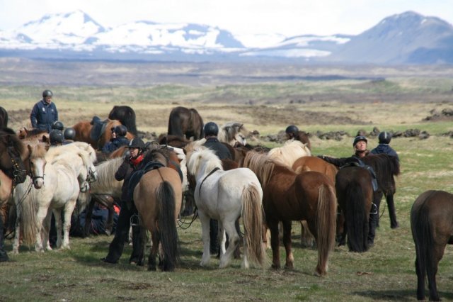 Sumarferð Sleipnis 2015
