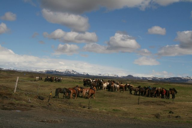 Sumarferð Sleipnis 2015