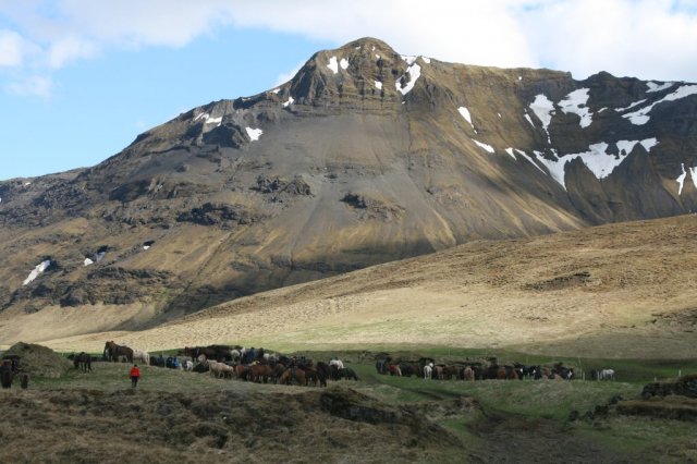 Sumarferð Sleipnis 2015