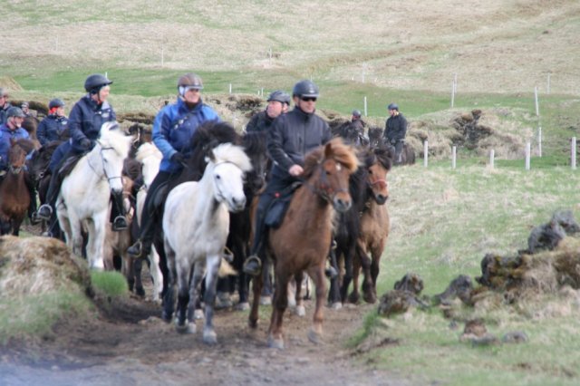 Sumarferð Sleipnis 2015