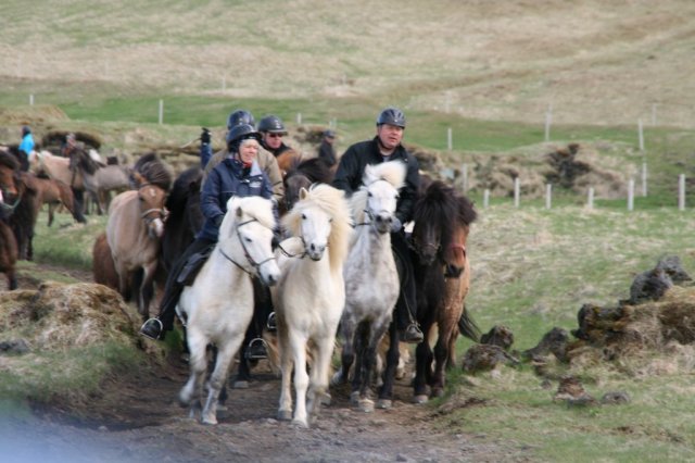 Sumarferð Sleipnis 2015