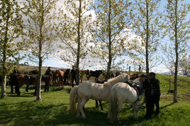 Sumarferð Sleipnis 2015