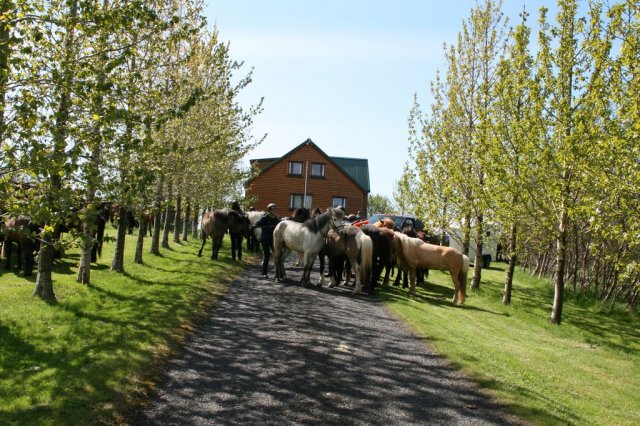 Sumarferð Sleipnis 2015