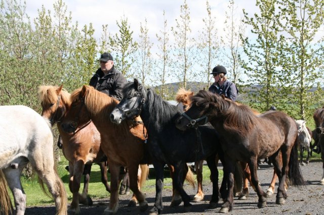 Sumarferð Sleipnis 2015