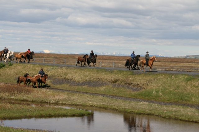 Sumarferð Sleipnis 2015