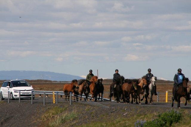 Sumarferð Sleipnis 2015