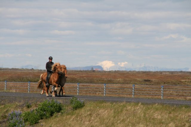 Sumarferð Sleipnis 2015
