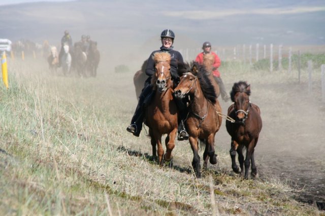 Sumarferð Sleipnis 2015