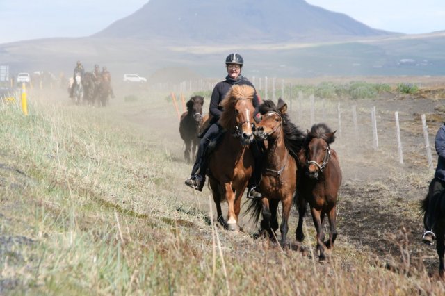 Sumarferð Sleipnis 2015