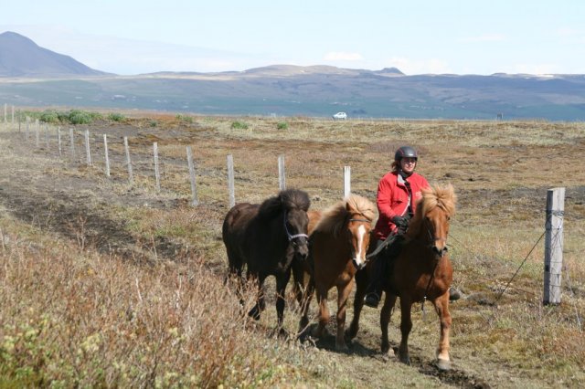 Sumarferð Sleipnis 2015