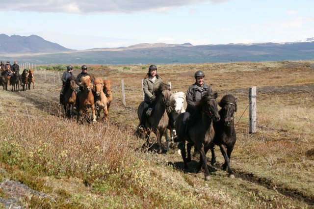 Sumarferð Sleipnis 2015