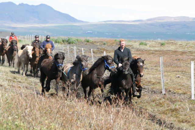 Sumarferð Sleipnis 2015