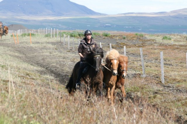Sumarferð Sleipnis 2015