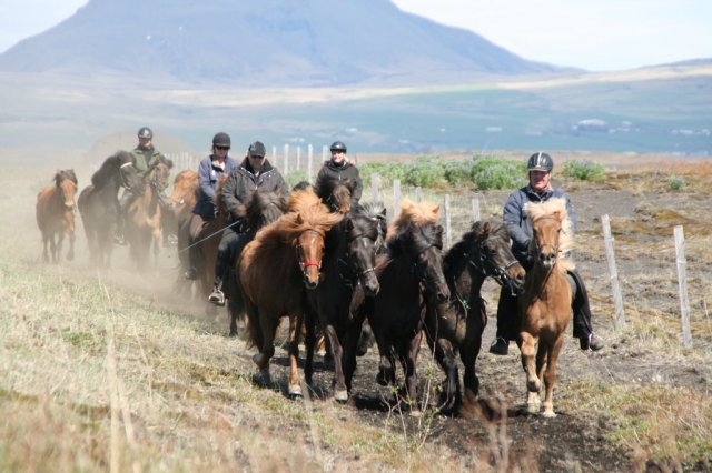 Sumarferð Sleipnis 2015