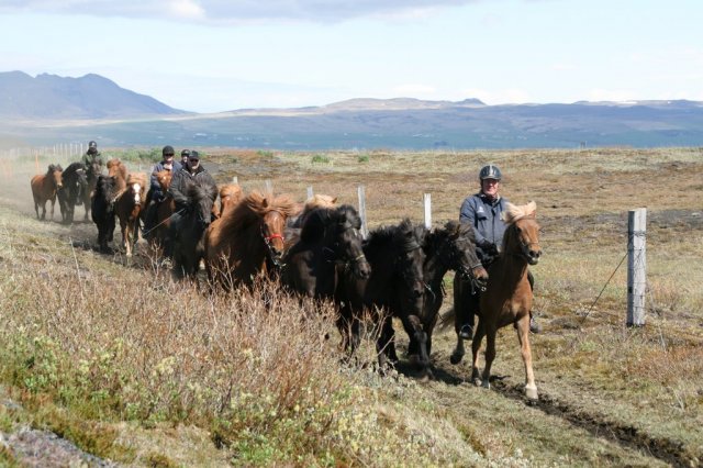Sumarferð Sleipnis 2015